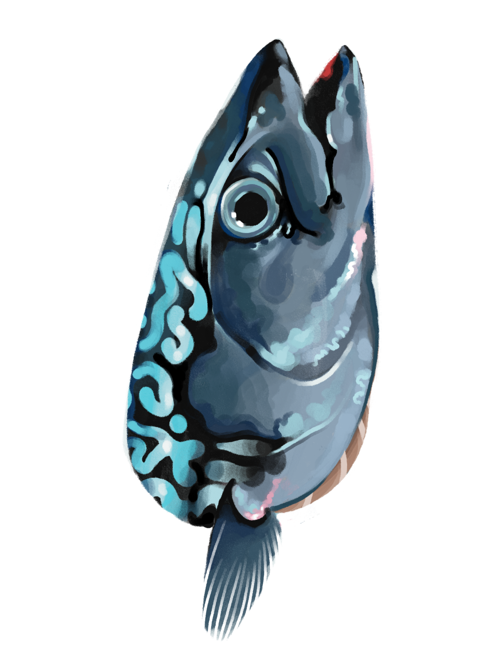 blaugrauer Fisch